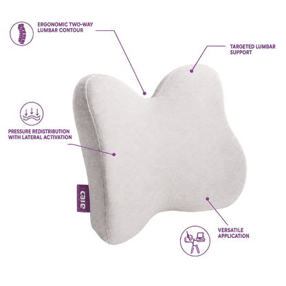 Icare Reform low back support cushion alternate view