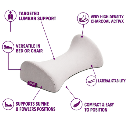 Icare Reform lumbar positioning support alternate view