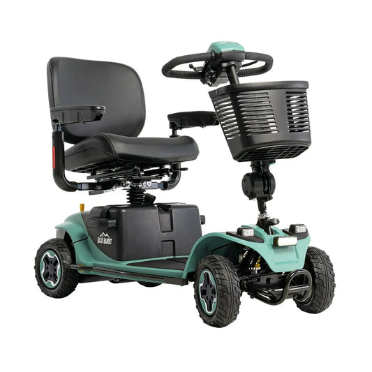 Baja Bandit 4-wheel scooter in Sage